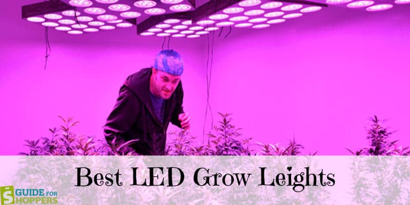 LED Grow Light reviews