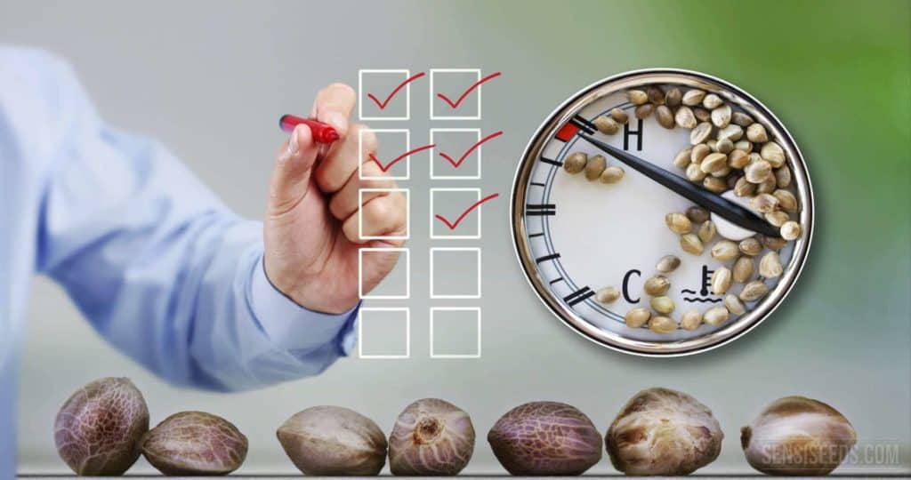 how to store cannabis seeds