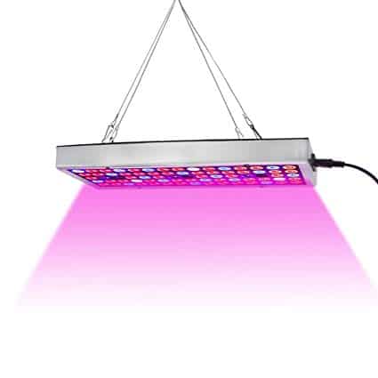 Best LED Grow Lights